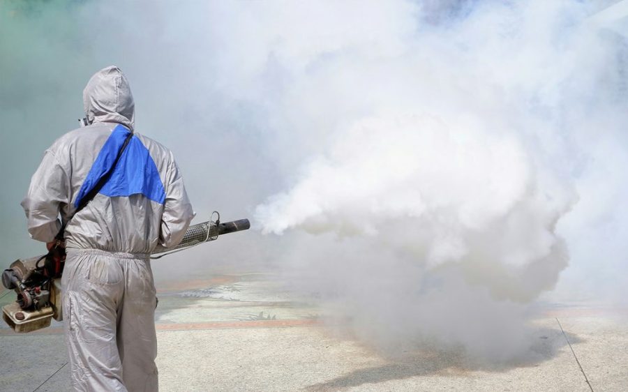 Here’s what to know about chikungunya fever, the disease that’s sweeping Guangdong