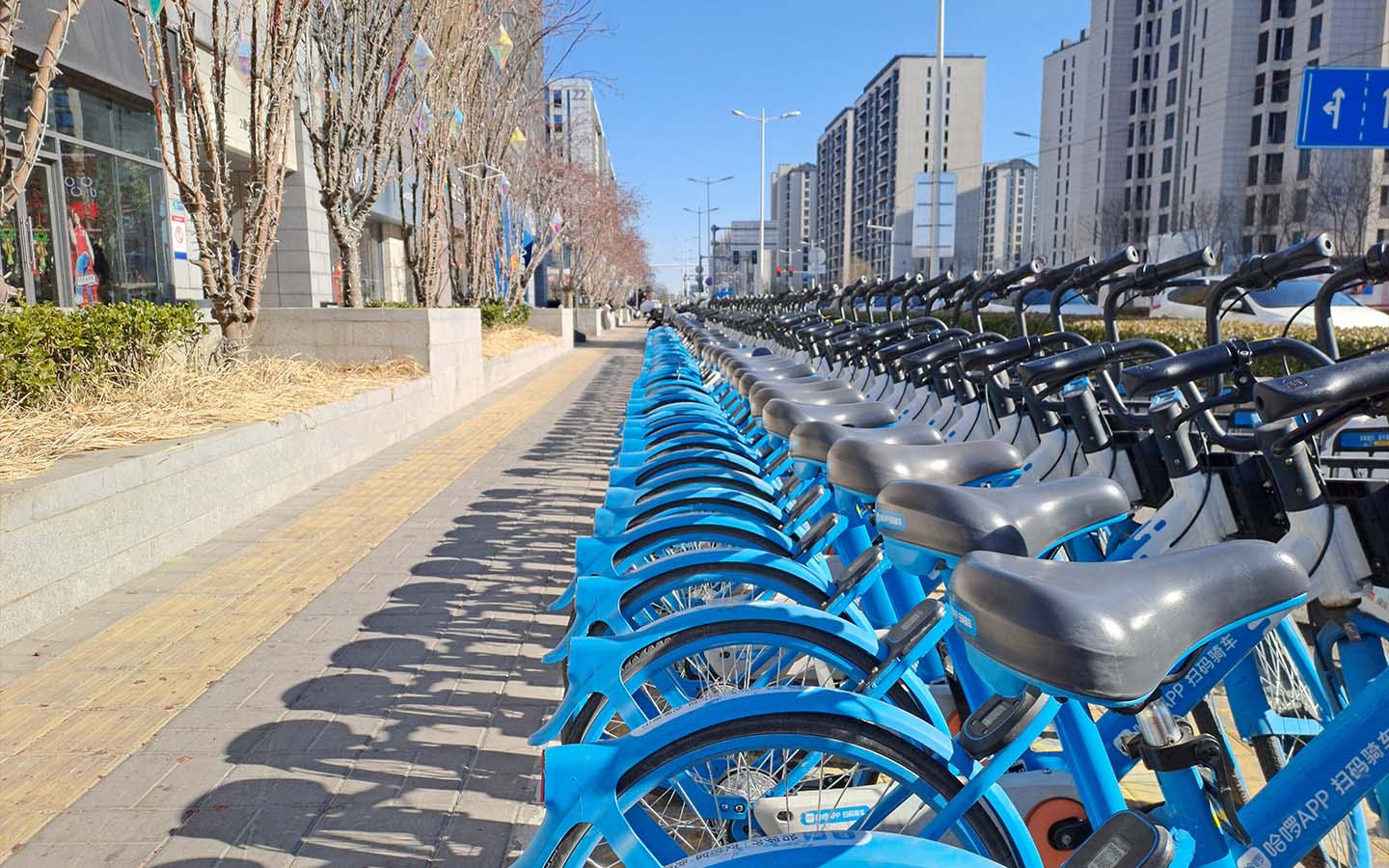 Here’s how to rent a shared bike in China 
