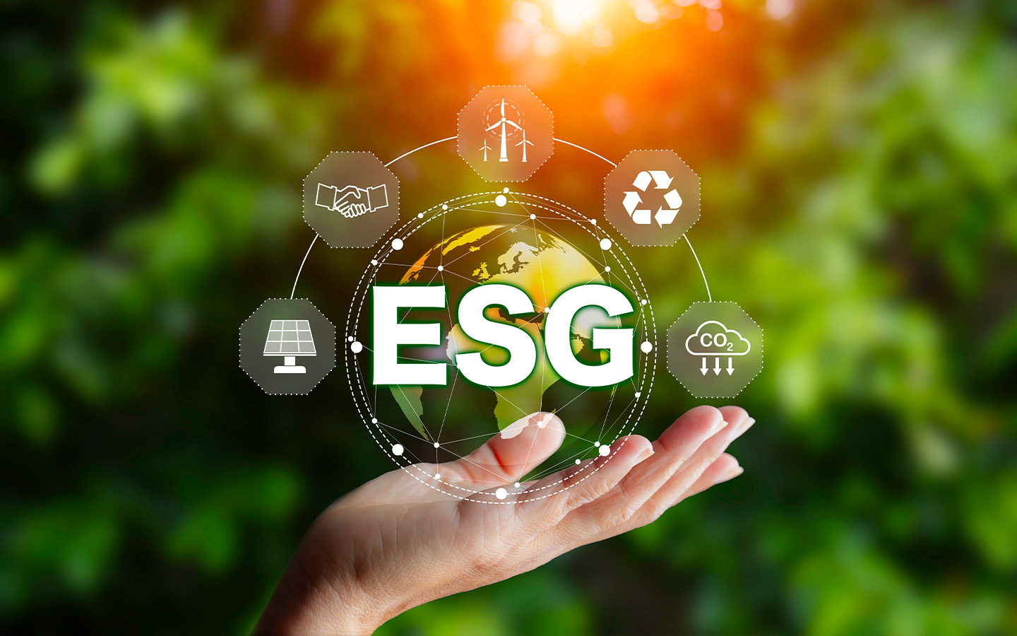 France Macau Chamber of Commerce opens applications for the 2025 ESG Awards