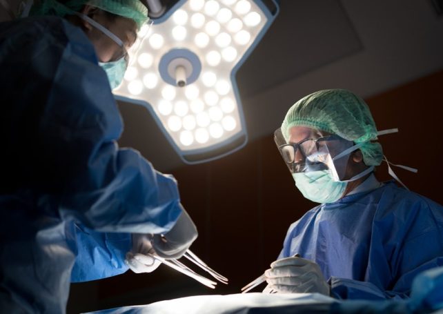 In a world first, a Guangzhou hospital made an animal-to-human lung transplant 
