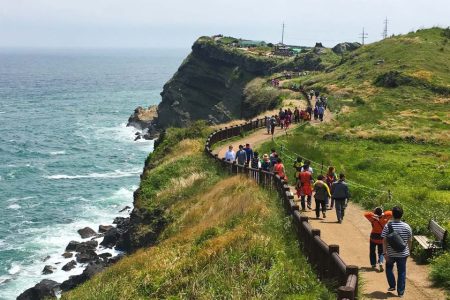 Jeju island is literally handing out “how to behave” cards to tourists