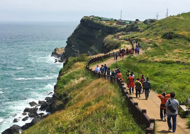 Jeju island is literally handing out “how to behave” cards to tourists