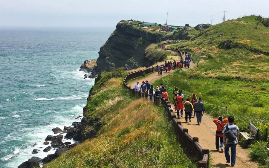 Jeju island is literally handing out “how to behave” cards to tourists