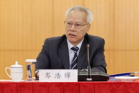CE discusses policy with the National People's Congress