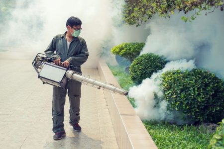 Macao organises chikungunya fever prevention talks as regional outbreak stabilises