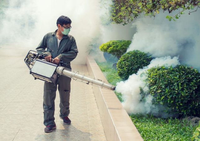 Macao organises chikungunya fever prevention talks as regional outbreak stabilises