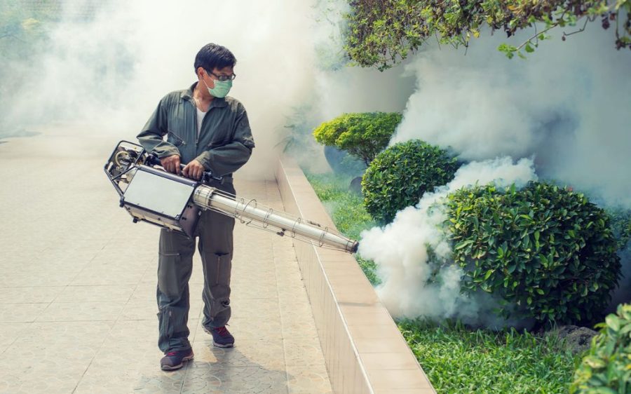 Macao organises chikungunya fever prevention talks as regional outbreak stabilises