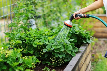 Parts of Macao will be using reclaimed water in the first quarter of 2026 