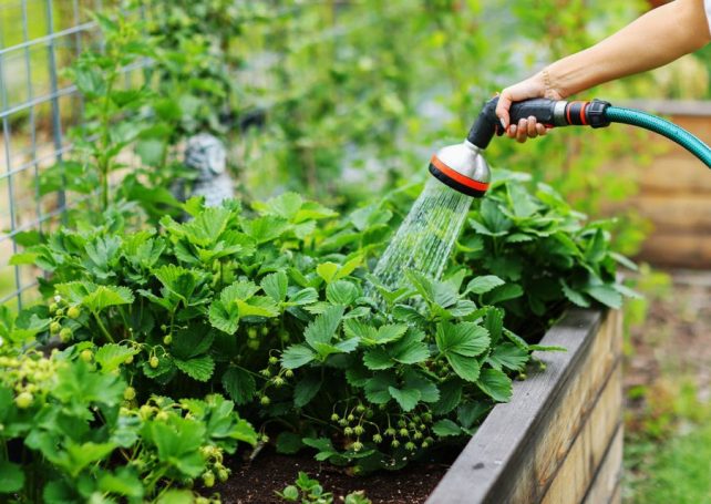 Parts of Macao will be using reclaimed water in the first quarter of 2026 