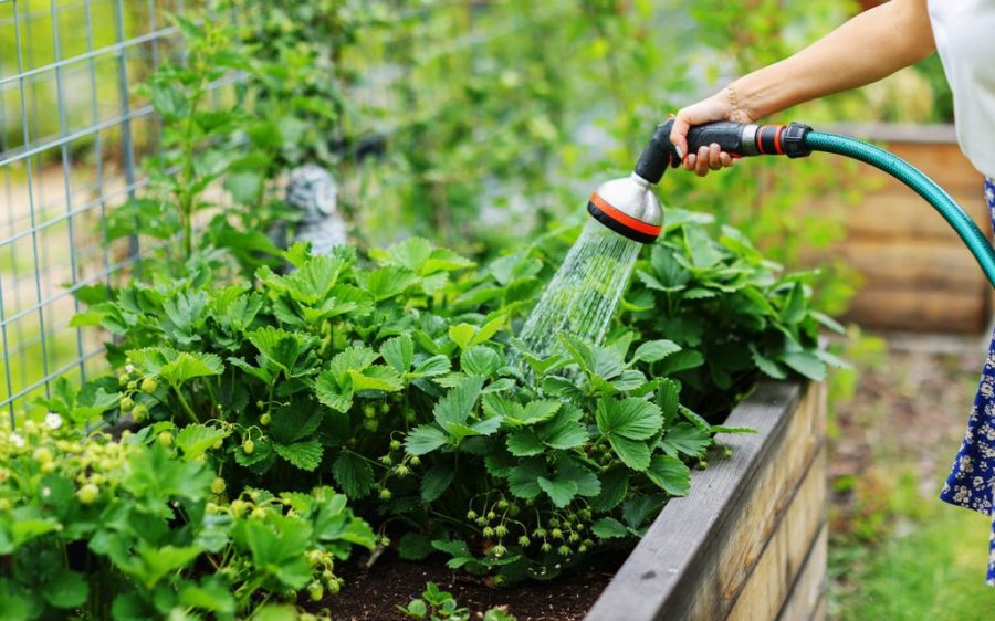 Parts of Macao will be using reclaimed water in the first quarter of 2026 