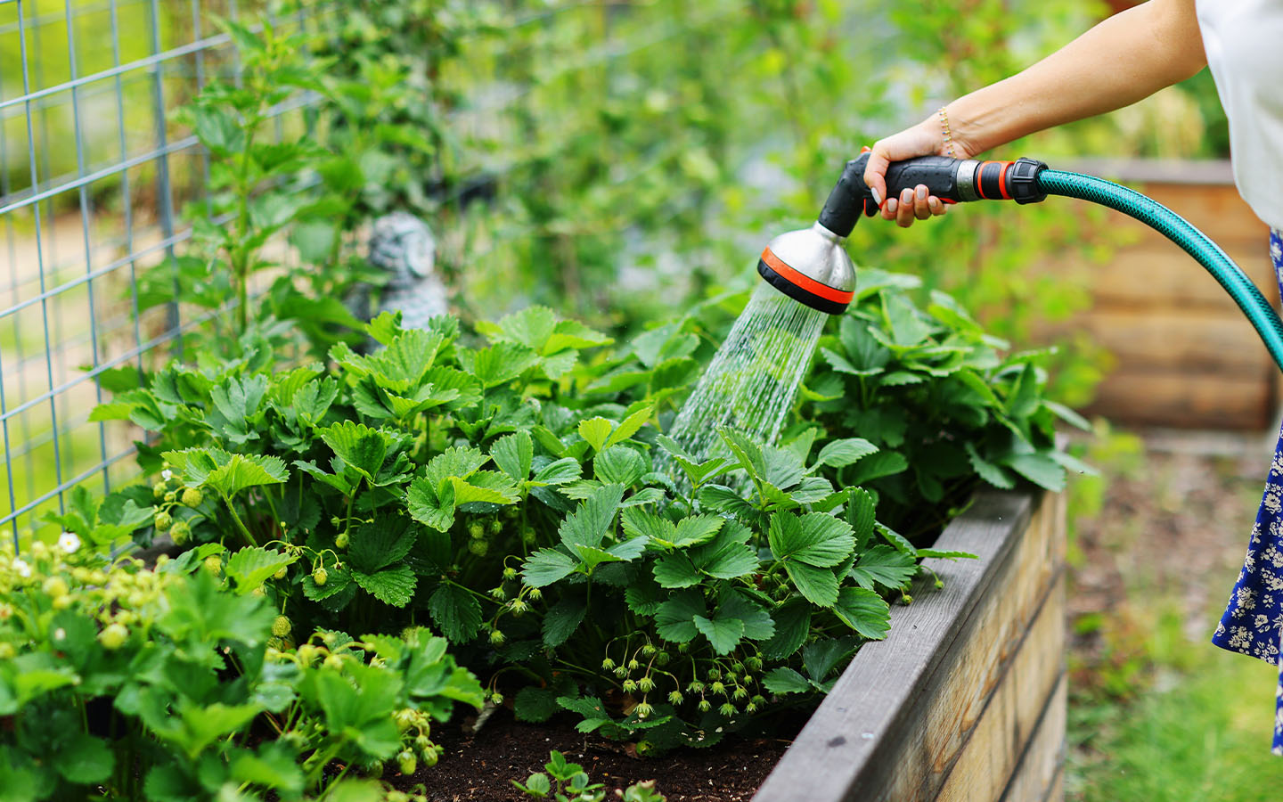 Parts of Macao will be using reclaimed water in the first quarter of 2026 