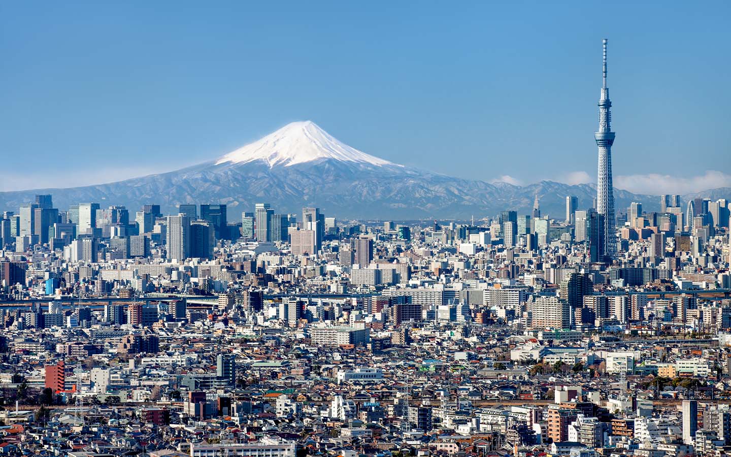 This is what could happen to Tokyo if Mt. Fuji erupted