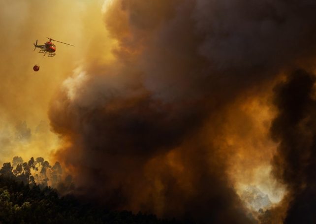 Portugal raises fire alert level as a new heat wave threatens the country
