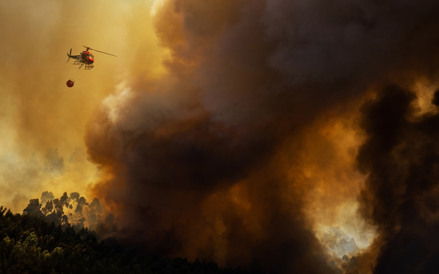 Portugal raises fire alert level as a new heat wave threatens the country