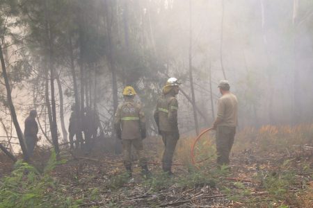 Ongoing wildfires claim a fourth victim in Portugal