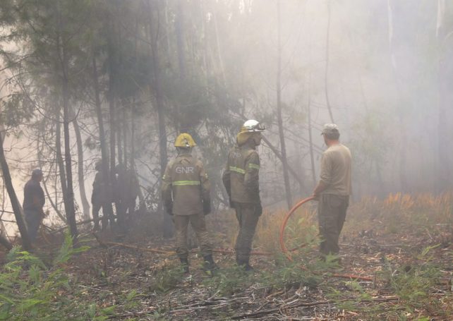 Ongoing wildfires claim a fourth victim in Portugal