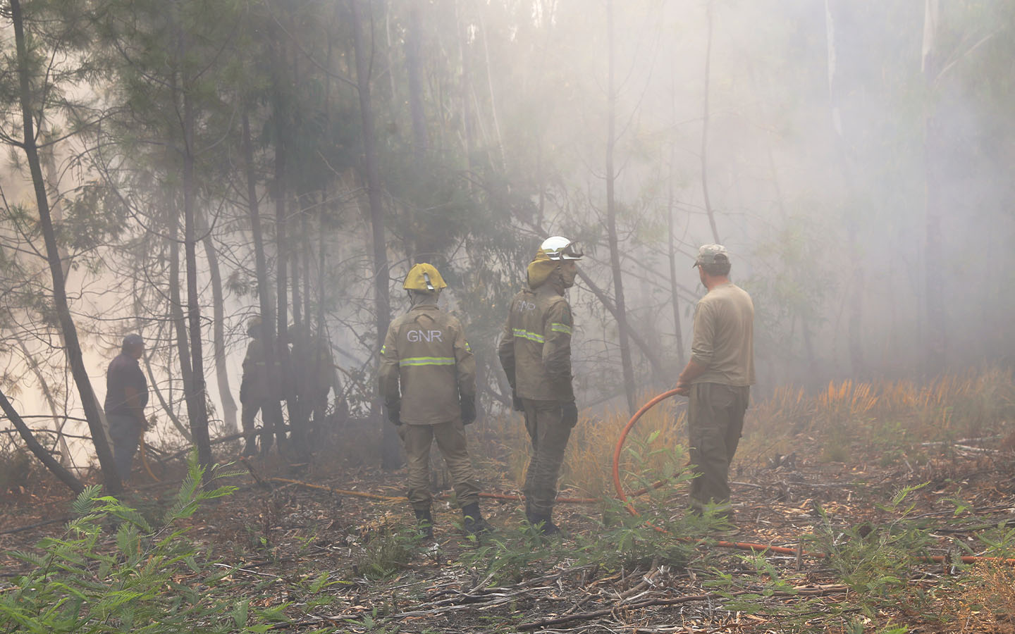 Ongoing wildfires claim a fourth victim in Portugal