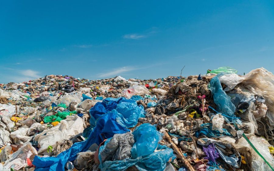 A Canadian man recovered his wife’s lost wedding rings from tonnes of landfill