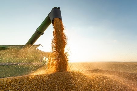 Brazil’s large harvest is expected to allow supplies to China to remain at high levels into the fourth quarter