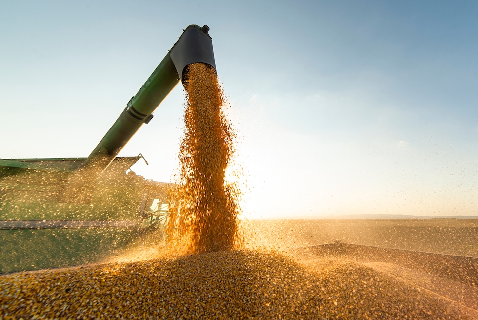 China leans on Brazilian soybeans amid trade uncertainties
