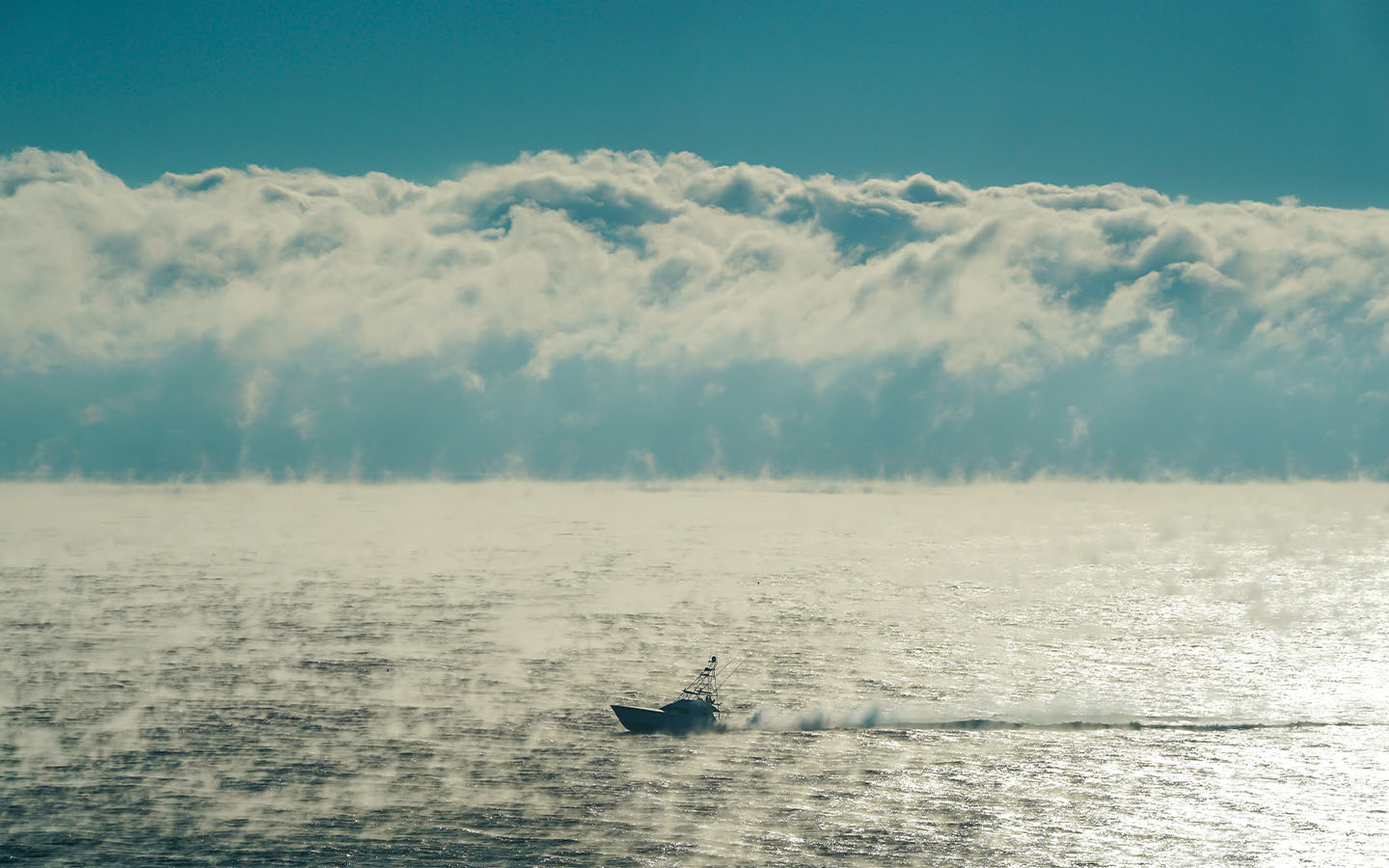 The collapse of a critical Atlantic current looks increasingly likely, a study finds