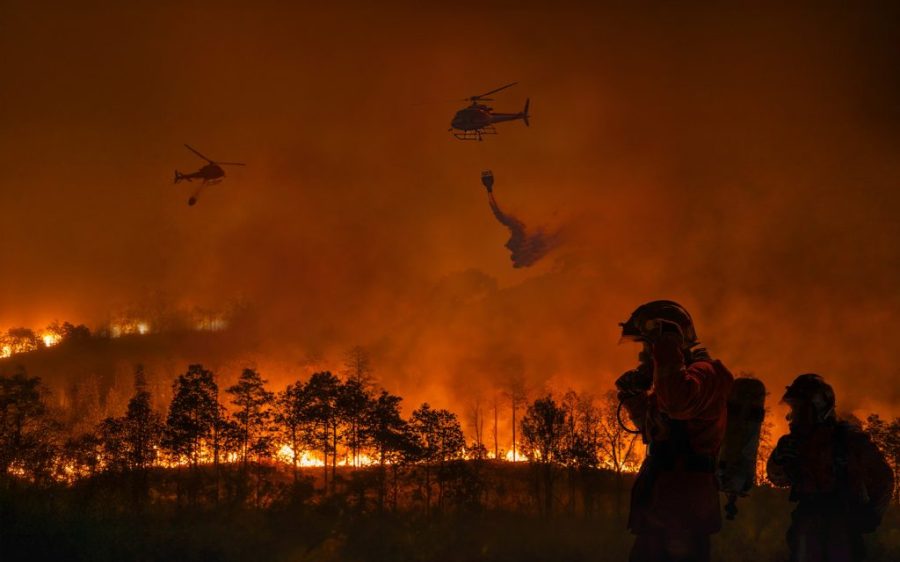 New Australian climate risk assessment highlights ‘horror story’ of inaction