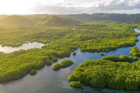 Brazil has committed US$1 billion to a tropical forest fund