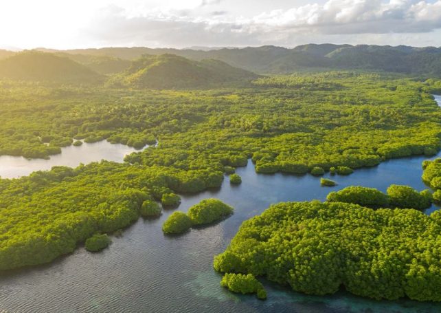 Brazil has committed US$1 billion to a tropical forest fund