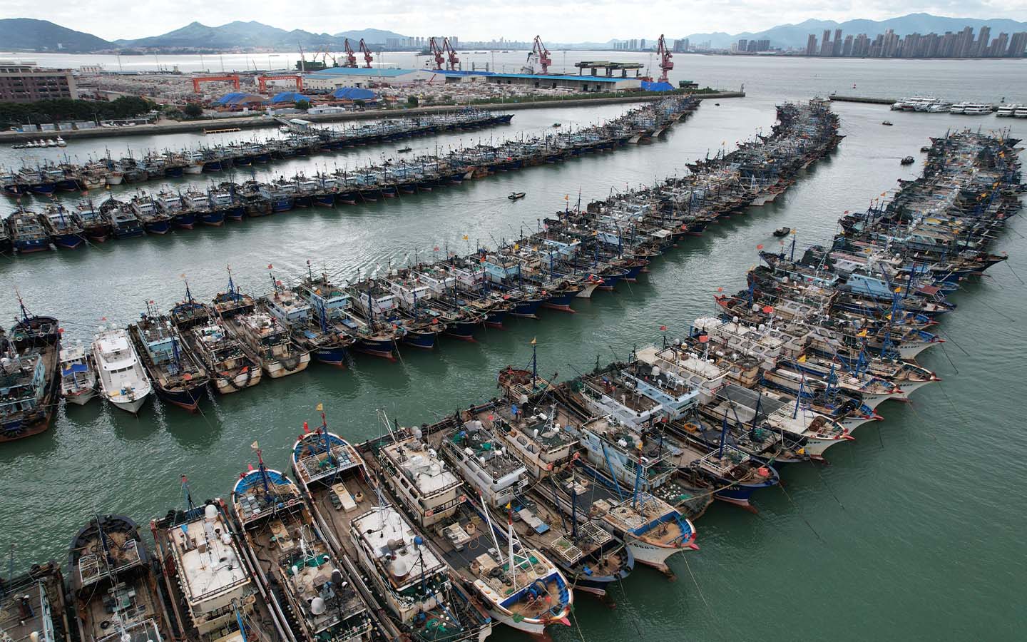 The Greater Bay Area braces for Super Typhoon Ragasa