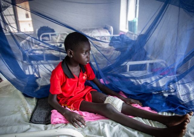 Humanitarian organisation pulls out of Mozambican town amid surge in violence