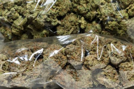 Macao police seize record-breaking cannabis haul in major airport bust