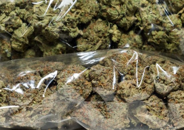Macao police seize record-breaking cannabis haul in major airport bust
