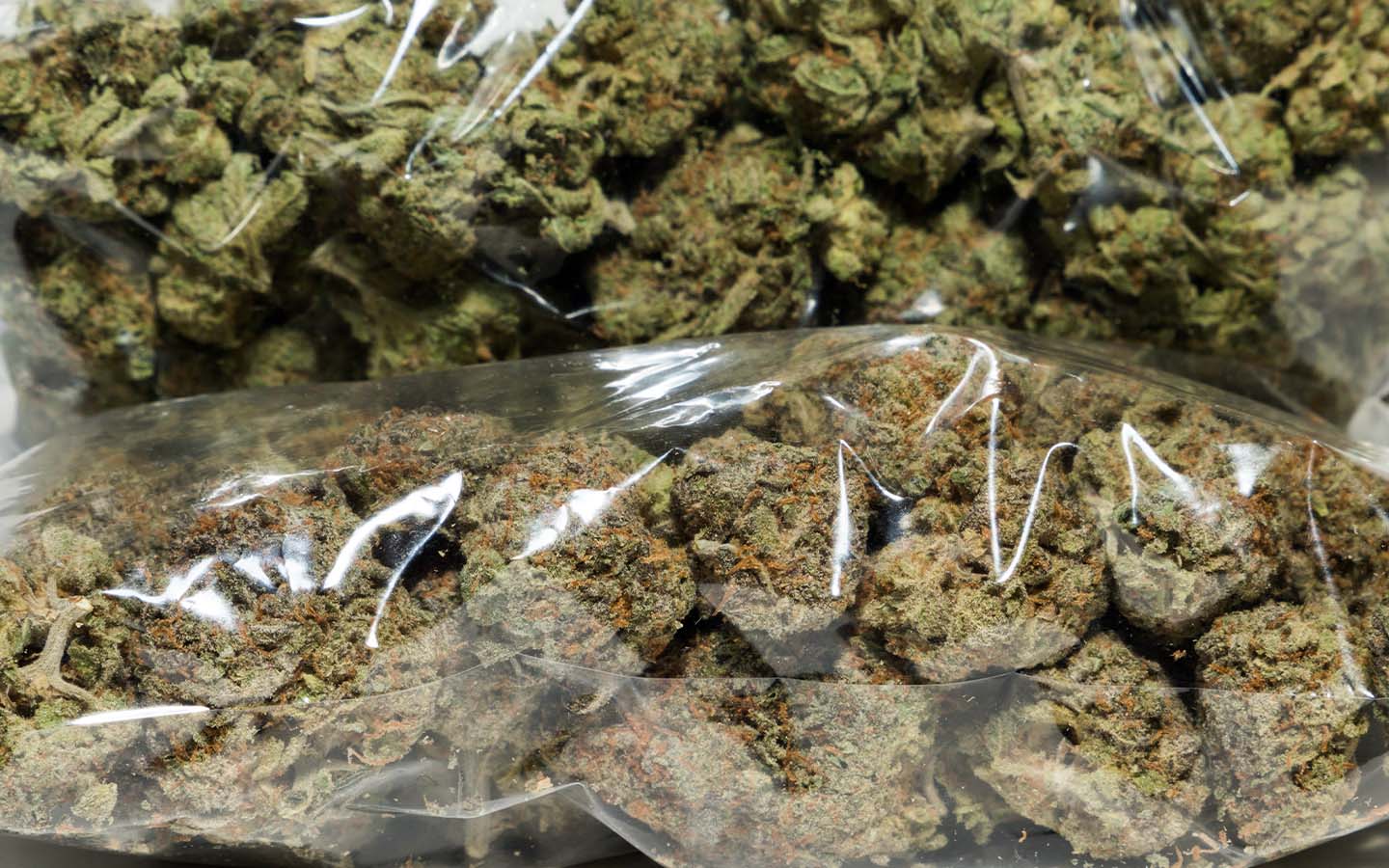 Macao police seize record-breaking cannabis haul in major airport bust