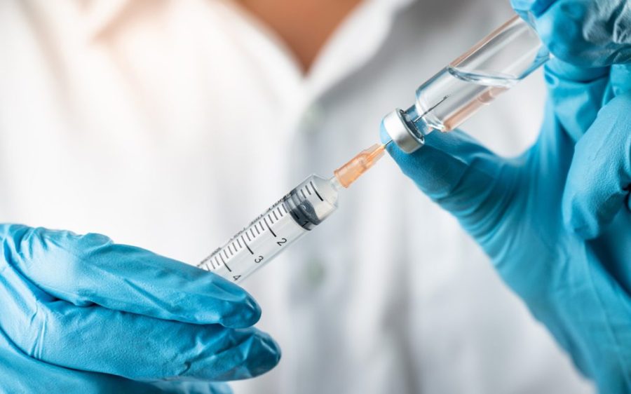 The WHO donates vaccines and treatments amid a rabies outbreak in Timor-Leste
