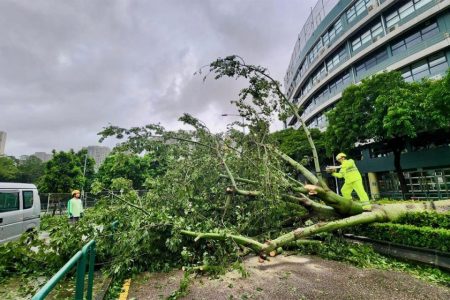Typhoon Ragasa set multiple weather records for Macao