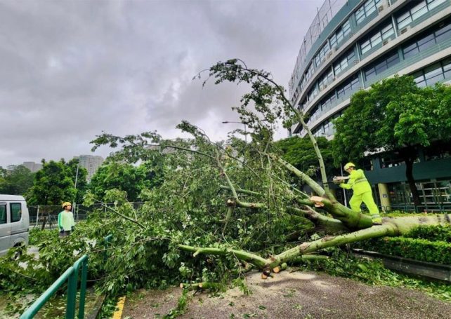 Typhoon Ragasa set multiple weather records for Macao 