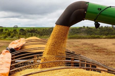 Brazilian soybean exports reach a record high