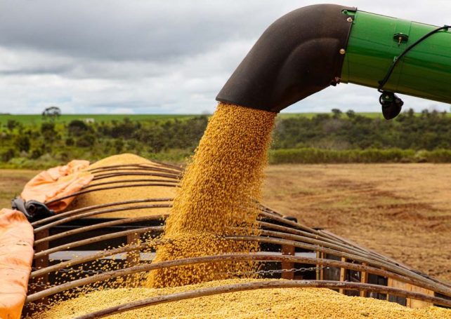 Brazilian soybean exports reach a record high