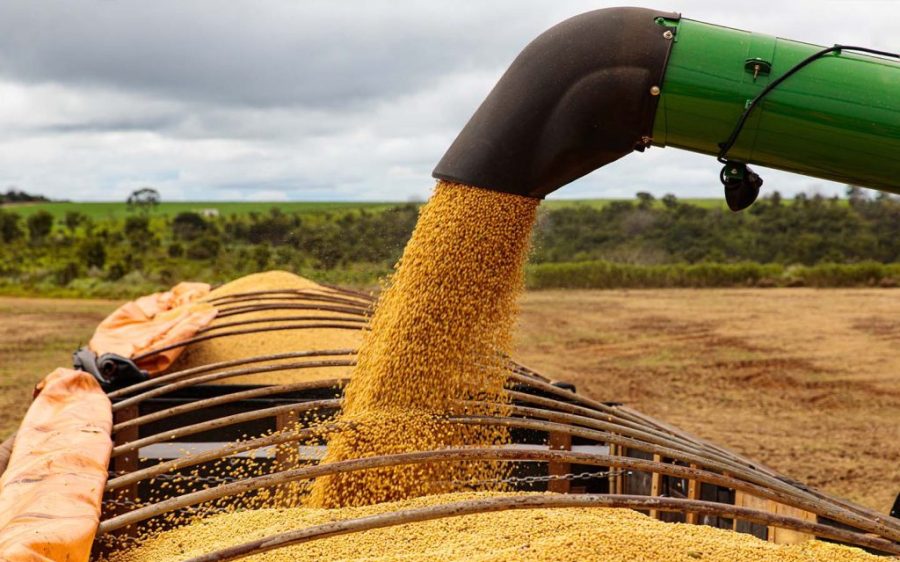 Brazilian soybean exports reach a record high Brazilian soybean exports reach a record high