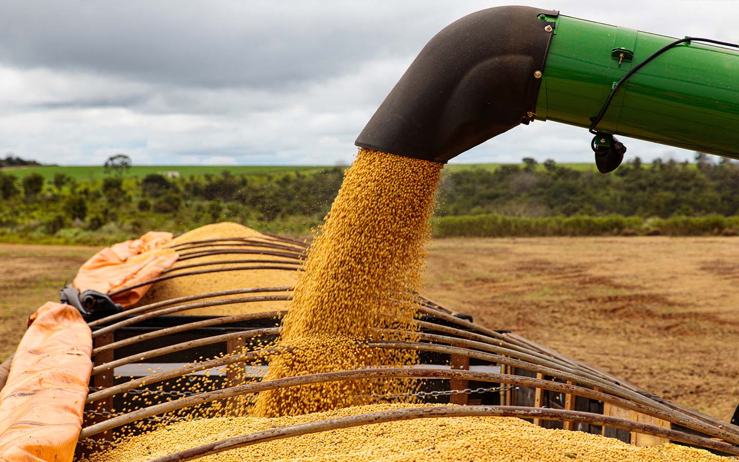 Brazilian soybean exports reach a record high Brazilian soybean exports reach a record high