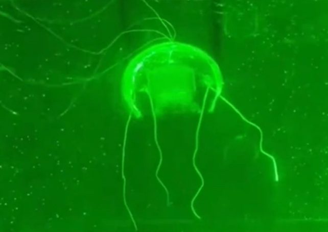 China’s ‘jellyfish robot’ promises to be a breakthrough in deep-sea exploration