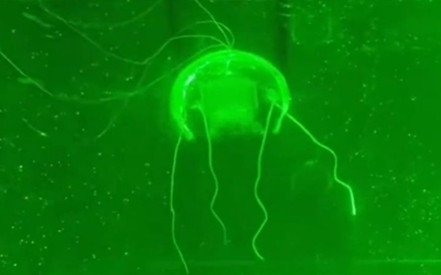 China’s ‘jellyfish robot’ promises to be a breakthrough in deep-sea exploration China’s ‘jellyfish robot’ promises to be a breakthrough in deep-sea exploration