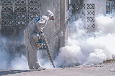 No transmission chain detected after Hong Kong’s first local chikungunya case No transmission chain detected after Hong Kong’s first local chikungunya case