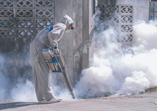 No transmission chain detected after Hong Kong’s first local chikungunya case No transmission chain detected after Hong Kong’s first local chikungunya case