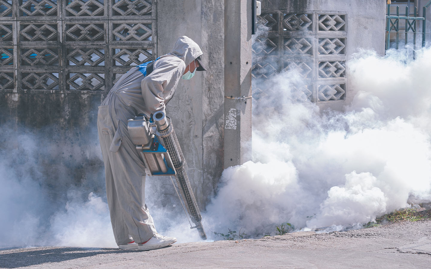 No transmission chain detected after Hong Kong’s first local chikungunya case No transmission chain detected after Hong Kong’s first local chikungunya case