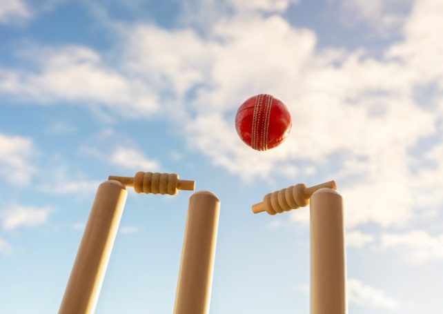 Cricket thrills galore as the Hong Kong Sixes returns next month