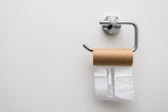 On World Toilet Day, here are 6 things to know about the smallest room in the house