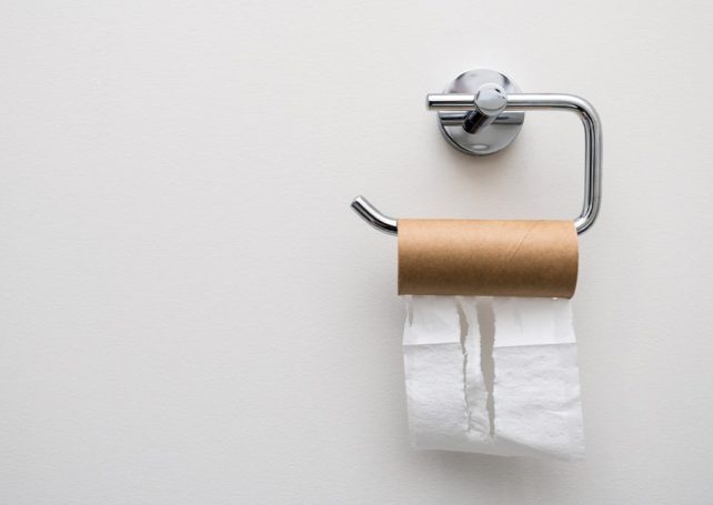 On World Toilet Day, here are 7 things to know about the smallest room in the house