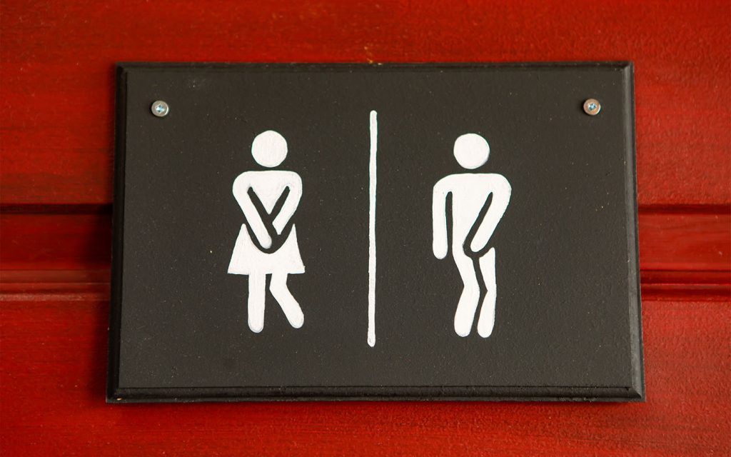 On World Toilet Day, here are 7 things to know about the smallest room in the house