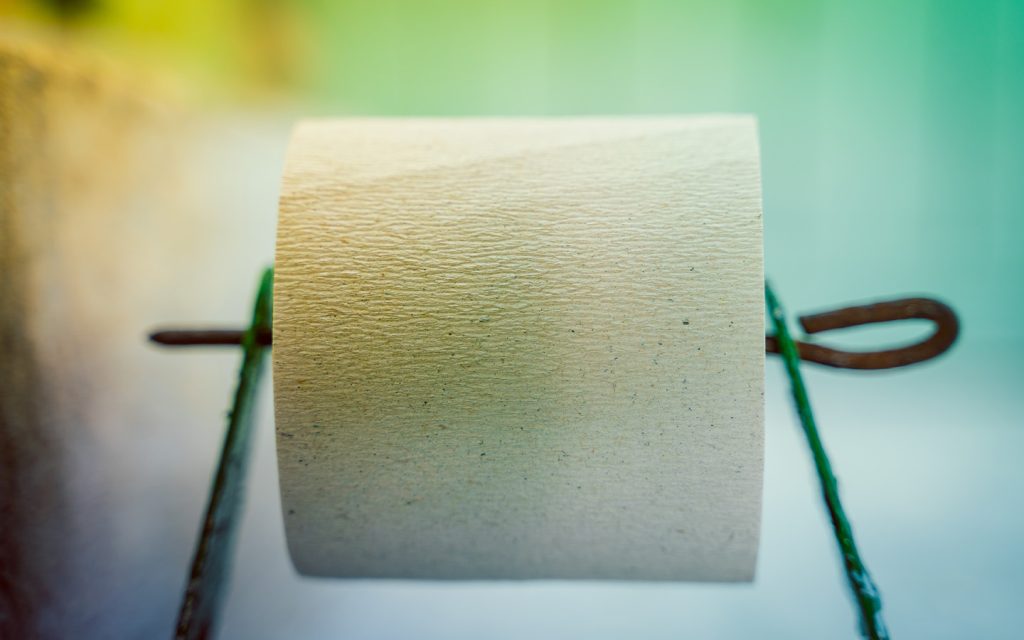 Low grade toilet paper does not dissolve easily and can be a hazard to plumbing